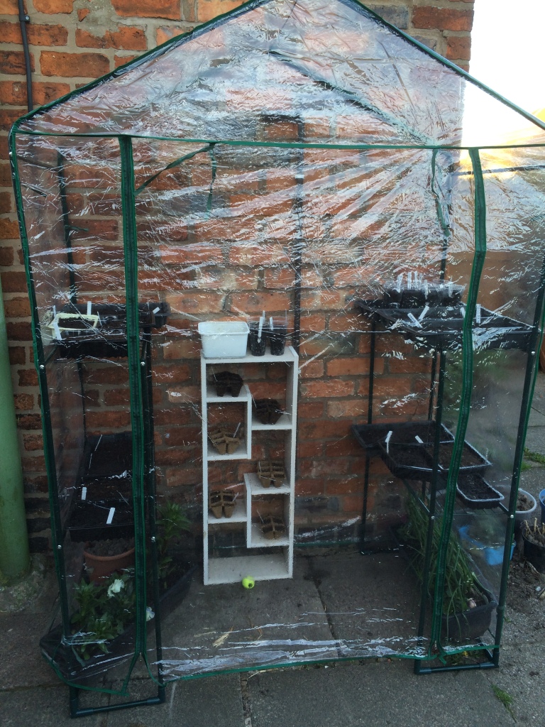 My little pop up greenhouse at the start of the growing season